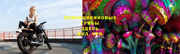 PSILOCYBIN Володарск