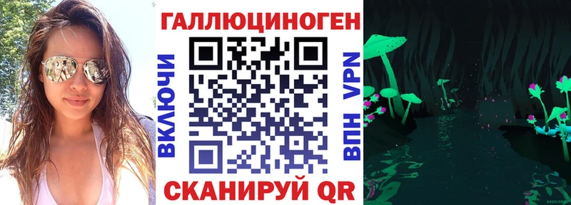 Псилоцибиновые грибы Psilocybine cubensis  Беломорск 